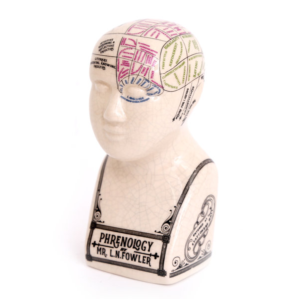 Astoria Grand Epes Antique Ceramic Phrenology Head Bust Wayfair.co.uk